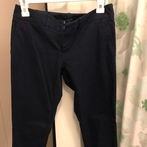THE LIMITED NAVY CHINO